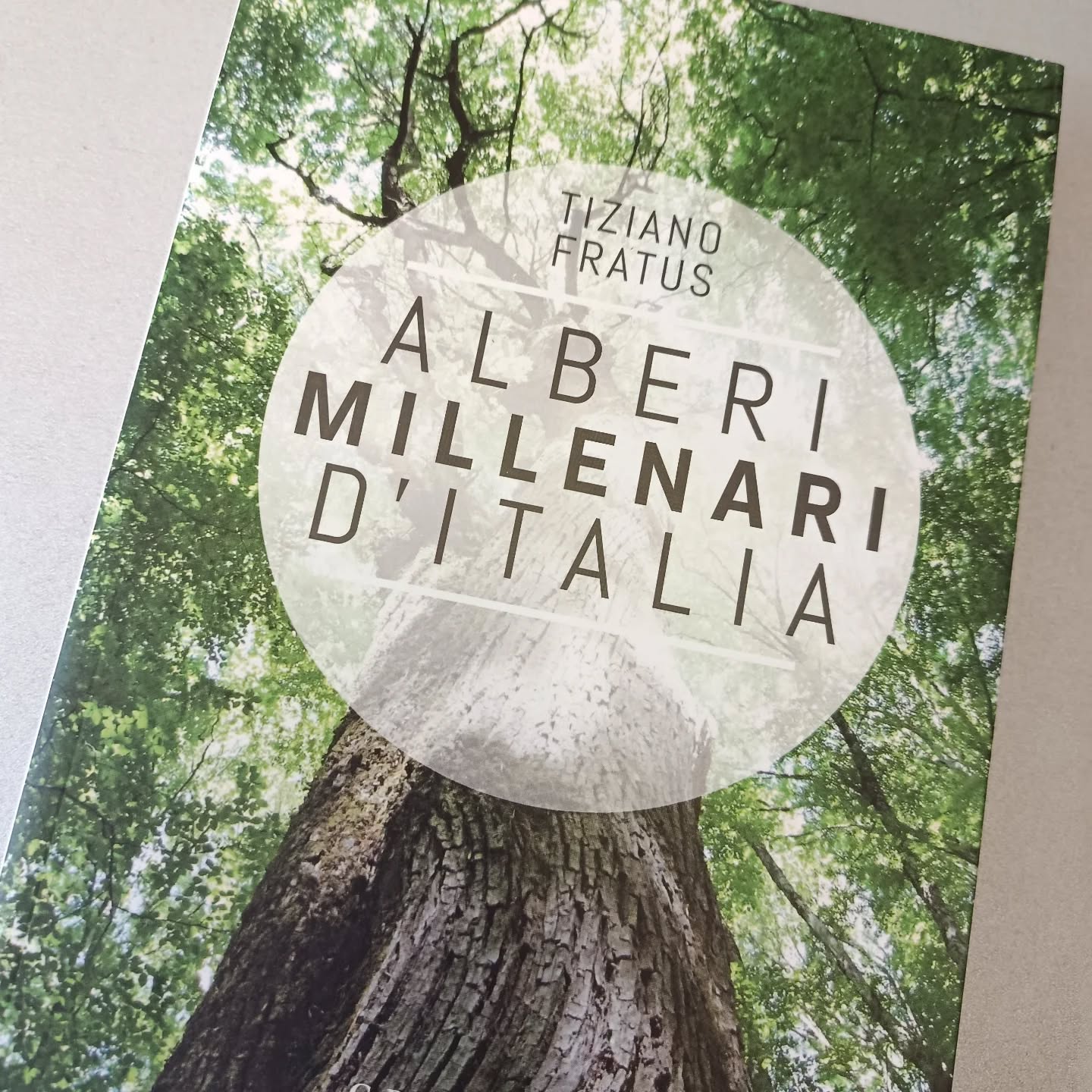 "Alberi millenari di Italia"
di Tiziano Fratus
Gribaudo editore
Dentro ogni uomo e dentro ogni donna esiste un esploratore che si muove di bosco in bosco, di giardino in giardino, di città in città. Posa la nuca sui tronchi degli alberi per captarne sussurri segreti, scala montagne, esplora grotte e isole, s'immerge nelle ombre di un orto botanico, va alla scoperta di quei giganti silenziosi che da secoli ripetono gli stessi gesti geometrici e rispondono agli stessi impulsi chimici per rinnovare la vita e assecondare lo scorrere delle stagioni. Da diversi anni Tiziano Fratus attraversa il paesaggio italiano per visitare e documentare l'esistenza dei grandi alberi, e ora, dopo tanti libri, dopo tanti incontri e meditazioni ai piedi di questi sovrani vegetali, ripercorre le traiettorie che lo hanno condotto al cospetto dei più annosi, quegli alberi monumentali millenari o considerati probabilmente millenari: dai castagni etnei agli olivastri sardi, dai larici alpini ai pini del Pollino, dai faggi abruzzesi agli ulivi del Salento a tanti esemplari isolati e remoti. Un viaggio alla scoperta e all'ascolto dei più antichi testimoni della storia naturale e umana del nostro Paese.
#tizianofratus #alberimillenariditalia #gribaudoeditore