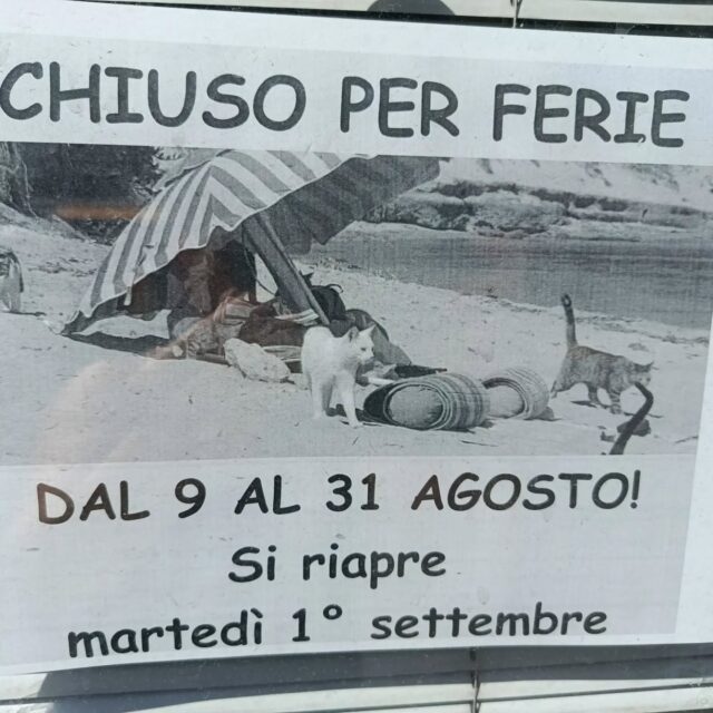 Chiusi per ferie. Riapertura Martedì 1 settembre.
Buone ferie librose a tutti!!
📚
#ferie #buonaestate #cirivediamoasettembre❤️