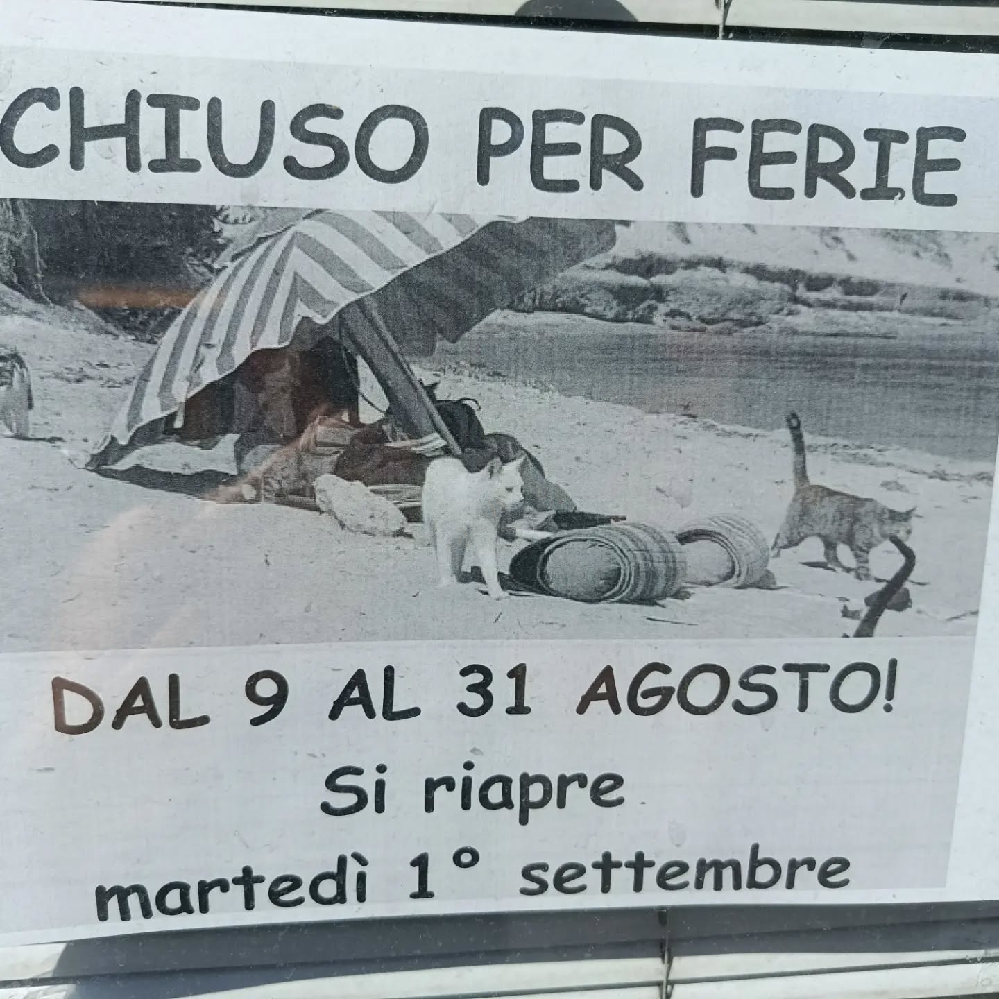 Chiusi per ferie. Riapertura Martedì 1 settembre.
Buone ferie librose a tutti!!
📚
#ferie #buonaestate #cirivediamoasettembre❤️